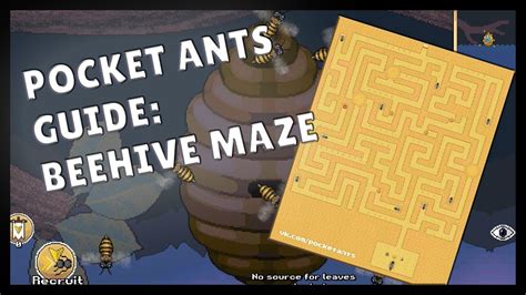 BEEHIVE MAZE guide and information .